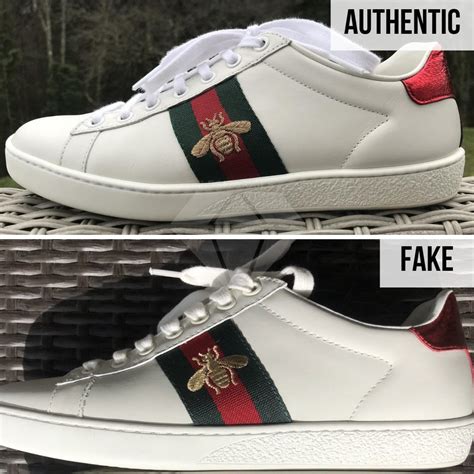 not fake gucci sneaker|gucci ace sneakers snakes.